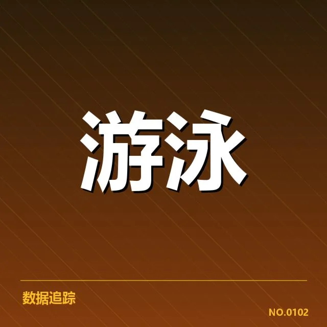 确认名单与赛事数据详解